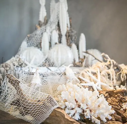 Alexandra Bb & Brunch - Front - Healthy Xxl Breakfast & Brunch Until 12 30 3*